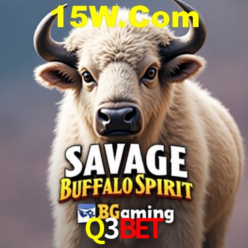 Descubra a Essência do Q3Bet: Nossa História e Compromissos